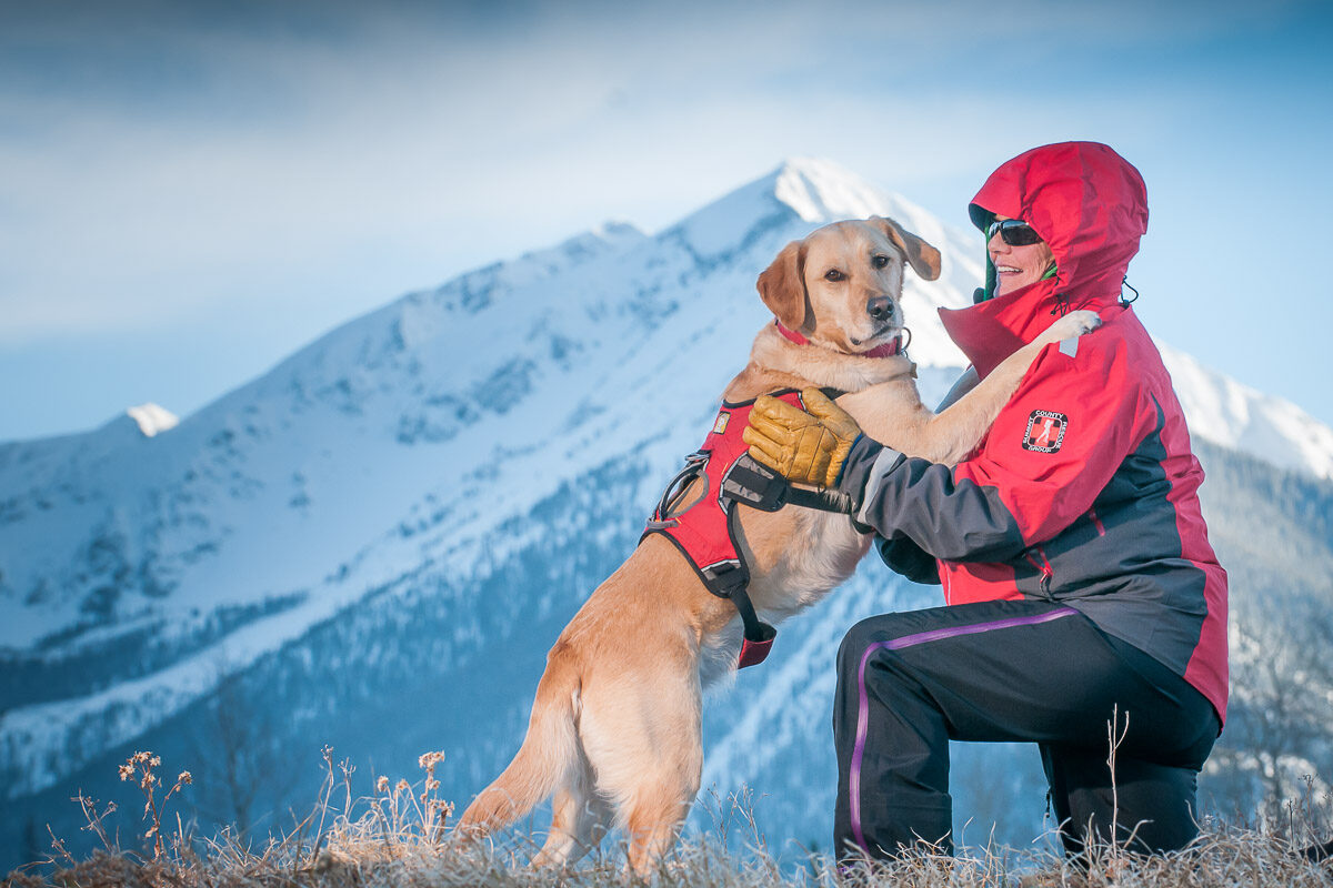 search and rescue dog photography