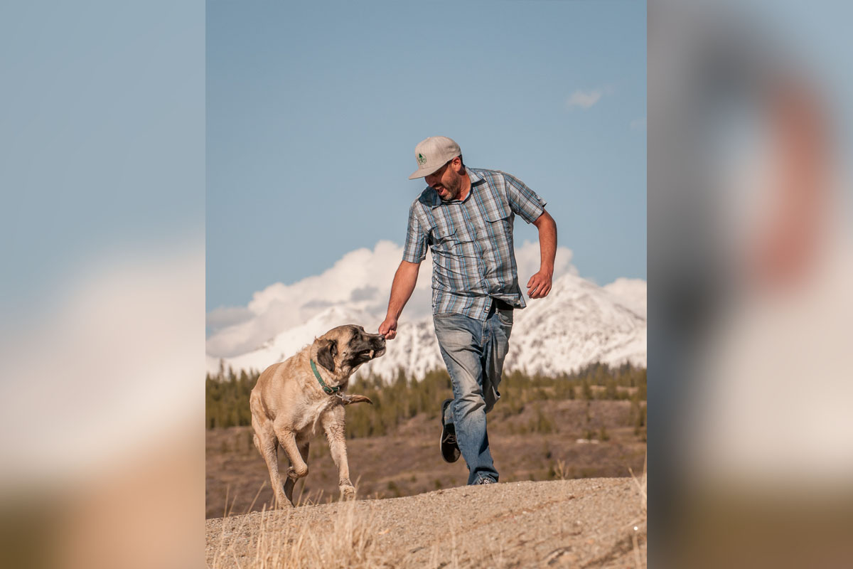 magazine article dog photography of colorado dogs and owners